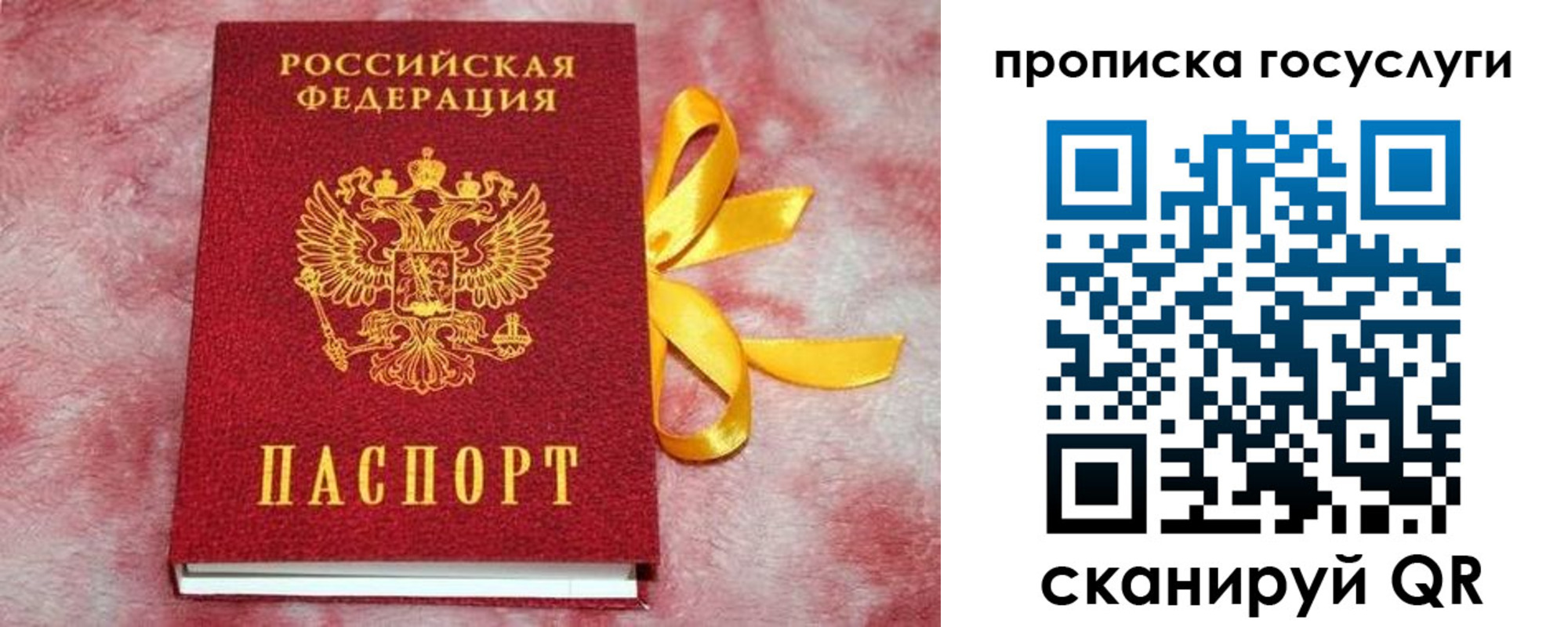 прописка законно в Петушках